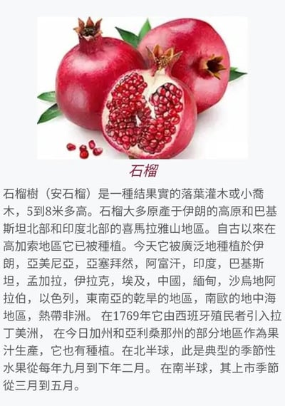 a picture of a pomegranatent with chinese characters