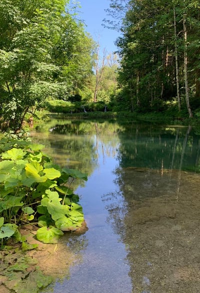 Hasenbach