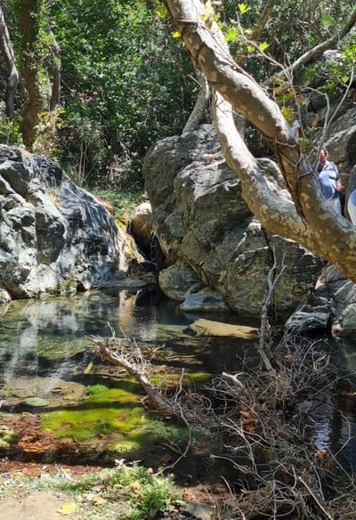 Richtis-Fluss