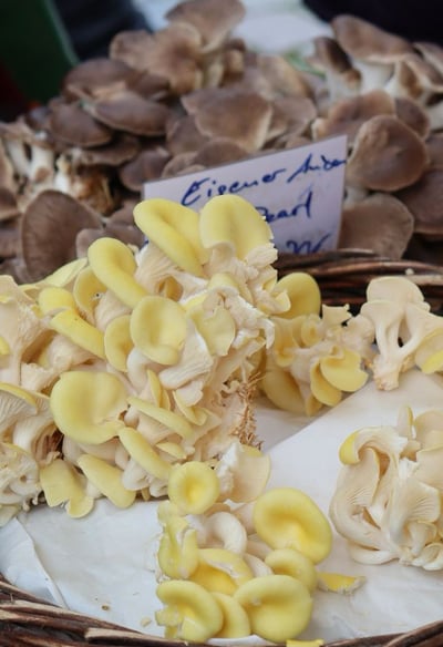 Pilze auf dem Markt