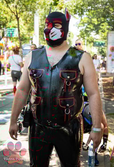 A man outdoors wearing a pup hood and latex fetish gear. By Pup KitKat 