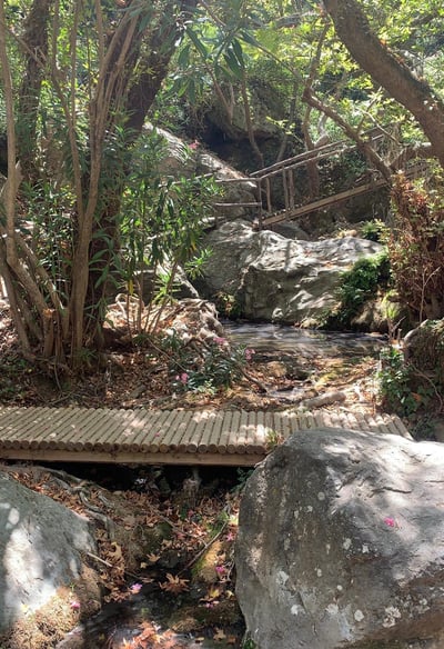 Viele Brücken in der Richtis-Schlucht