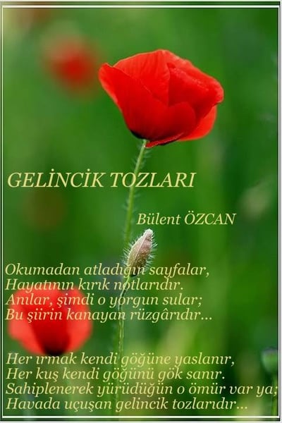 Gelincik Tozları, Şiir, Bülent Özcan, Gelincikler