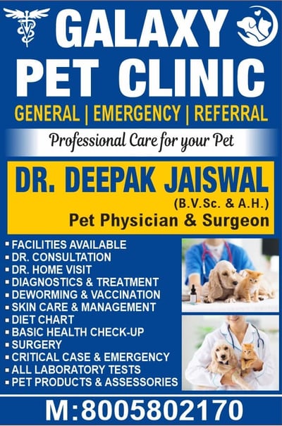 a poster advertising a pet clinic in the city