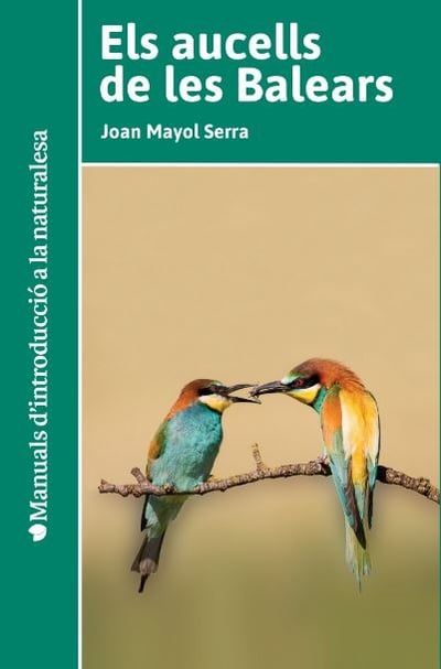 two birds sitting on top of a tree branch