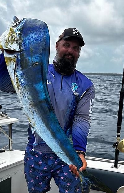Expert Anglers Fishing in Zanzibar Dorado ( Mahi - Mahi )