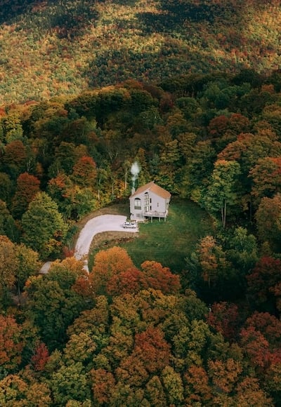 house in the middle of the forest