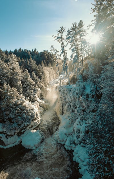 a waterfall in the middle of a forest