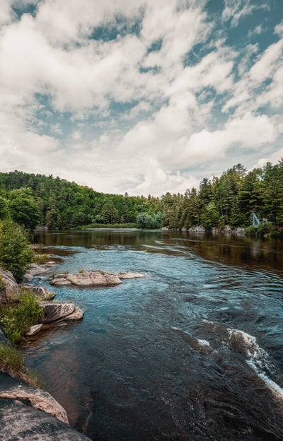 a river with rocks and trees in the background