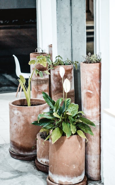 a group of three large pots with plants in them