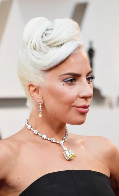 lady gaga cynthia scellos timeless fashion blog
