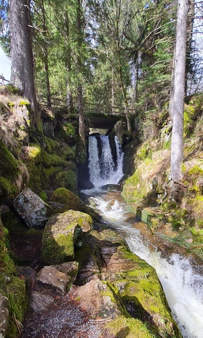 Ganz oben an den Wasserfällen in Menzenschwand