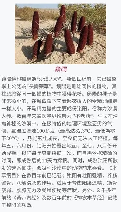 a page in a chinese magazine with a picture of a bunch of flowers