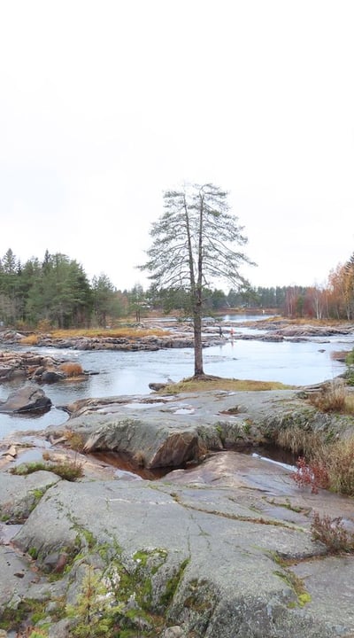 Koiteli bei Oulu in Finnland