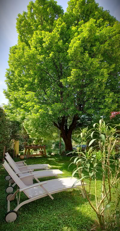Jardin privé