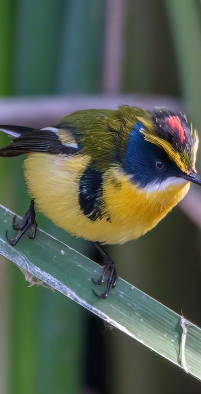 Naturaleza