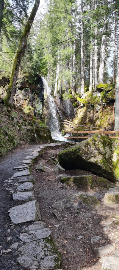 Weg an den Wasserfällen in Menzenschwand