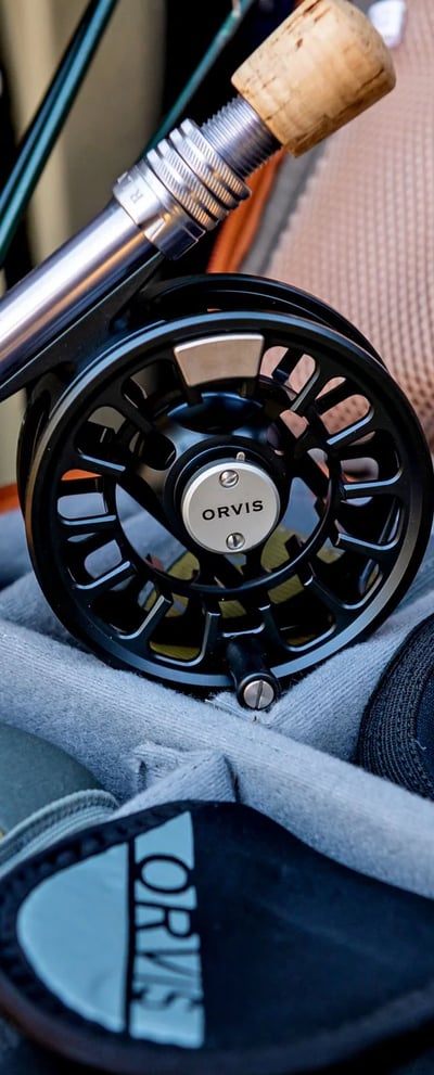 Experience at Orvis
