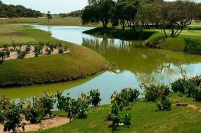 Aretê Buzios Clube de Golfe