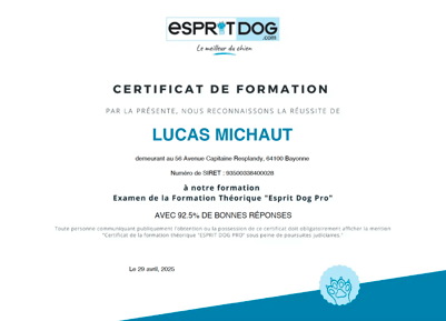Diplome éducateur canin esprit dog Bayonne Anglet Biarritz