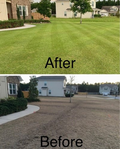 actual customer lawn before after