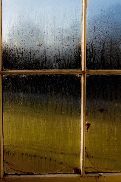 Rainy window with condensation and dampness.