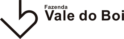 Fazenda Vale do Boi logo