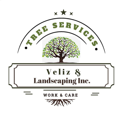 Veliz Landscaping logo