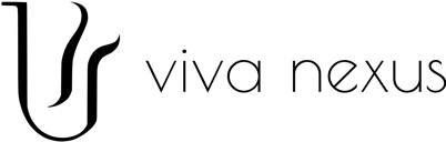 "Viva nexus" veiklos ir verslo analitika logo