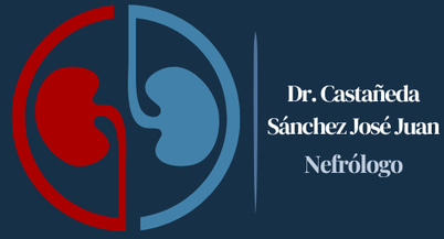 Dr. Castañeda Sánchez José Juan logo