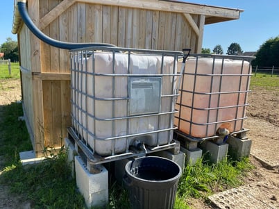 free access to water for our pampered horses