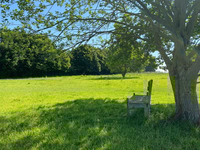 paddocks, peace and relaxation for the owners ProSpaceandNature.life