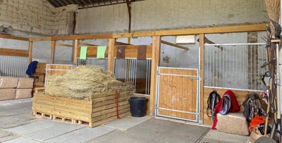 3 horse stalls ProSpaceandNature.life