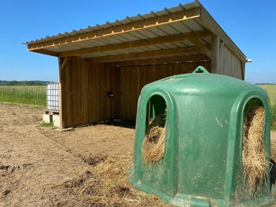 free-choice hay in the paddock ProSpaceandNature.life