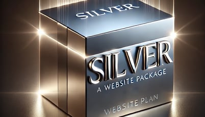 silver colored package for website plans