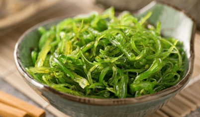 Spiruline - microalgue