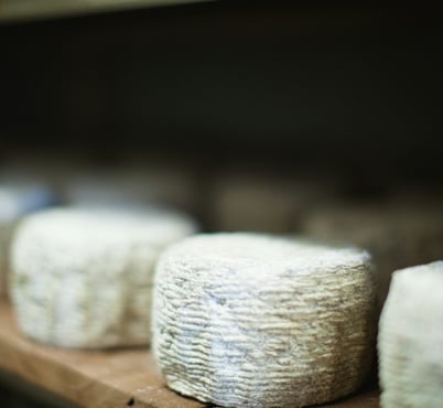 fromage de chèvre