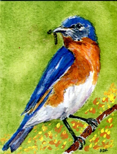 Bluebird