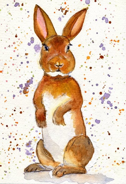 Bunny