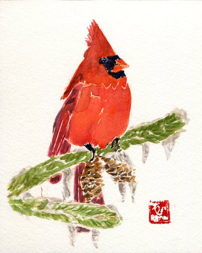 Cardinal on Pinecone