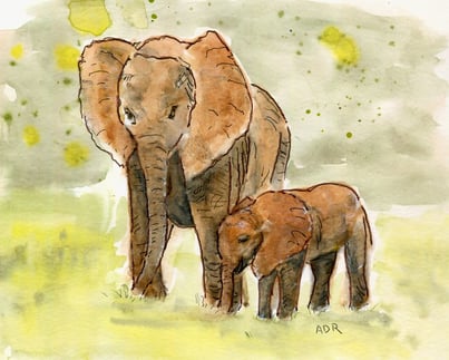 Mama & Baby Elephant