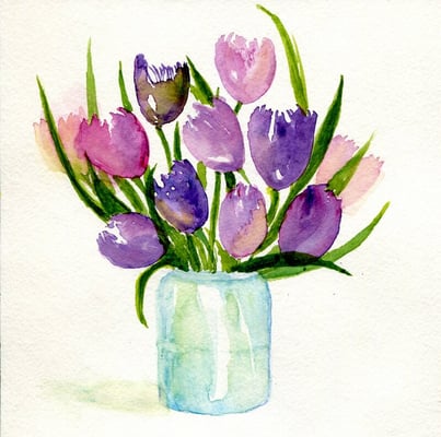 Tulipa