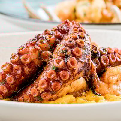 Fotografía de portafolio de un plato de mariscos