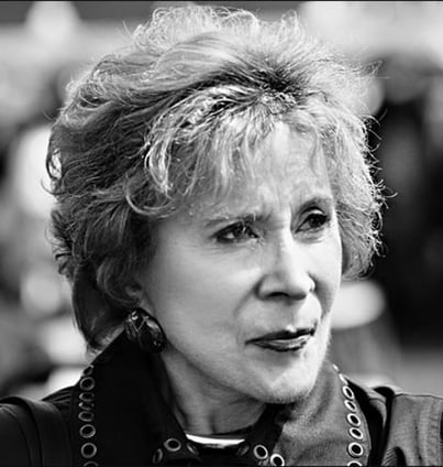 susan allen ibeji collector collectionneuse