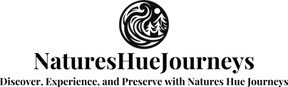 natureshuejourneys logo