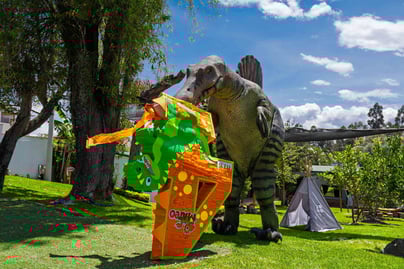 Fotógrafo profesional de cumpleaños infantiles, eventos sociales en Quito, Ecuado, paquetes sencillos de fotos para fiestas