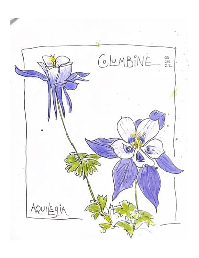 Columbine