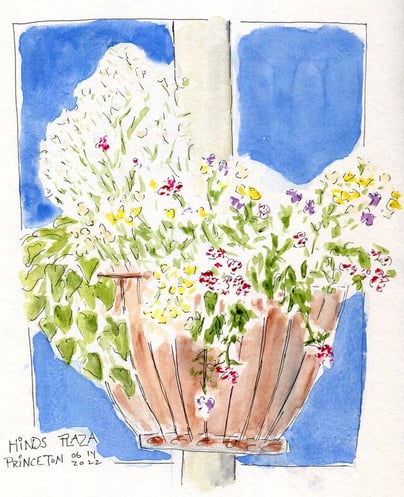 Hanging Basket