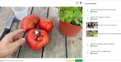 curso online tomates