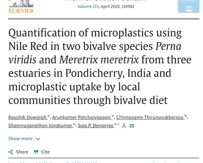 a research article about the microplastics in clams and mussels